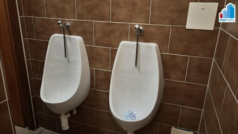 Pronájem komerční nemovitosti, Kralovice, Markova tř., 570 m2