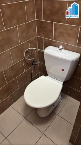 Pronájem komerční nemovitosti, Kralovice, Markova tř., 570 m2