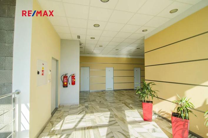 Pronájem obchodního prostoru, Svitavy, Svitavská, 72 m2