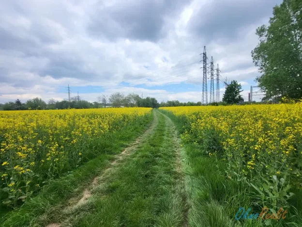 Prodej komerčního pozemku, Brno - Komárov, Hněvkovského, 2784 m2