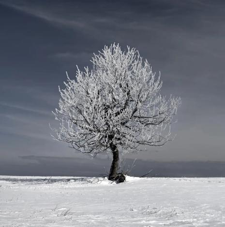 Prodej bytu 2+kk, Loučná pod Klínovcem, 57 m2