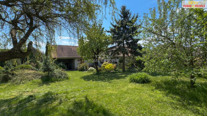 Prodej chalupy, Číčenice - Strpí, 220 m2