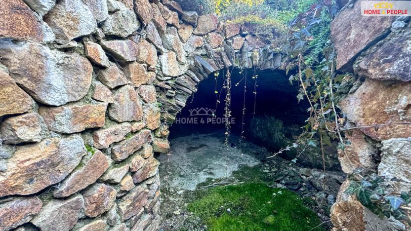 Prodej chalupy, Číčenice - Strpí, 220 m2