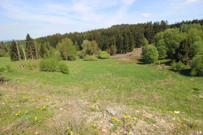 Prodej pozemku pro bydlení, Jeřmanice, 2910 m2