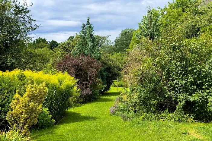 Prodej vícegeneračního domu, Brno, Franzova, 3164 m2