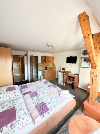 Prodej ubytování, Jeseník, Priessnitzova, 162 m2