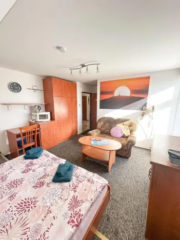 Prodej ubytování, Jeseník, Priessnitzova, 162 m2