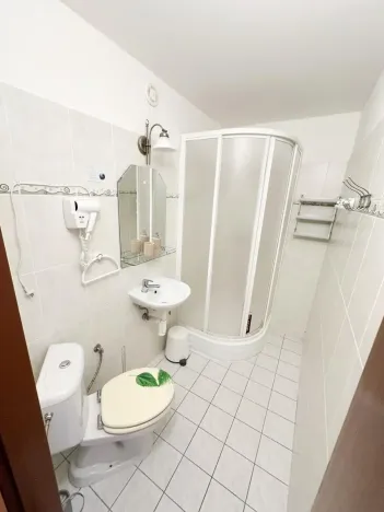 Prodej ubytování, Jeseník, Priessnitzova, 162 m2