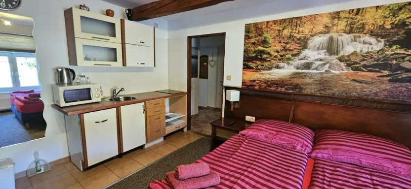 Prodej ubytování, Jeseník, Priessnitzova, 162 m2