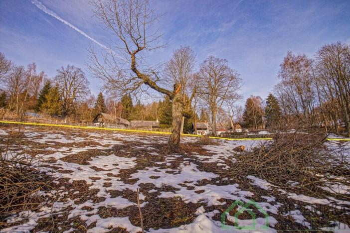 Prodej louky, Branná, 2772 m2