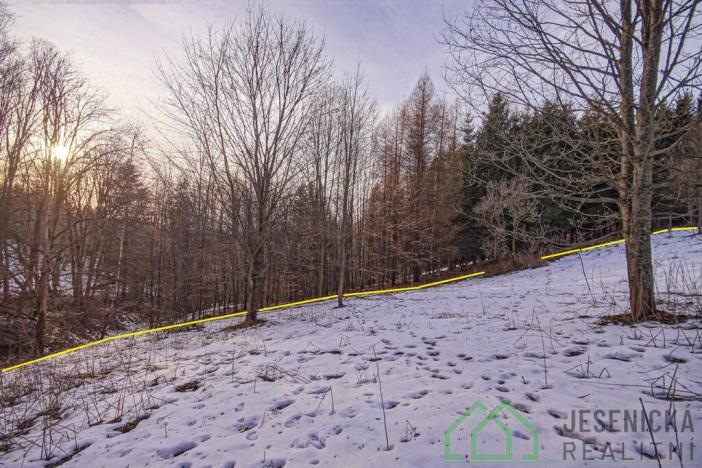 Prodej louky, Branná, 2772 m2