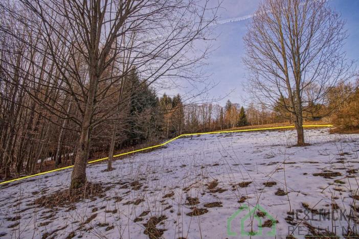 Prodej louky, Branná, 2772 m2