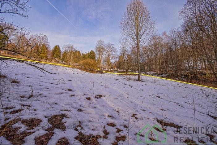 Prodej louky, Branná, 2772 m2