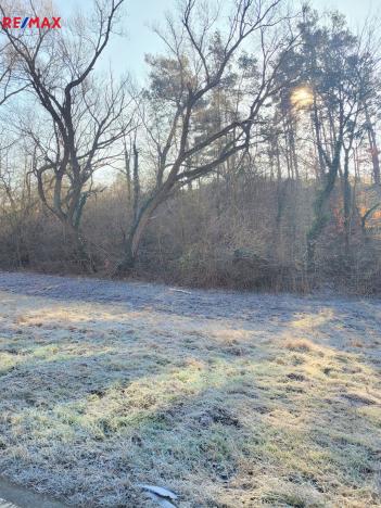 Prodej louky, Sýkořice, 3885 m2