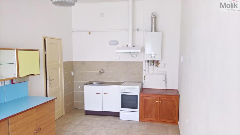 Prodej vícegeneračního domu, Žatec, Oblouková, 326 m2