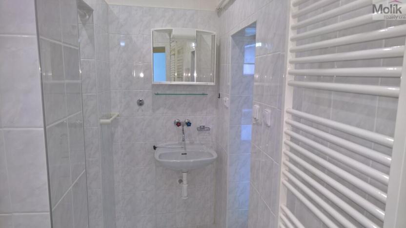 Prodej vícegeneračního domu, Žatec, Oblouková, 326 m2