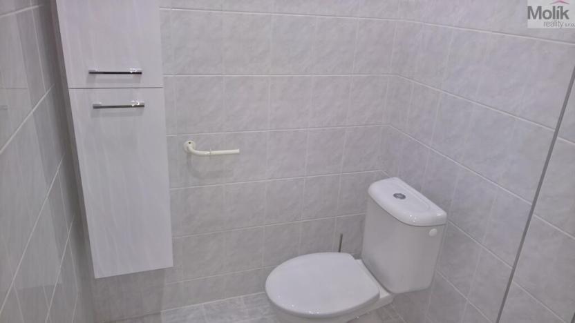 Prodej vícegeneračního domu, Žatec, Oblouková, 326 m2