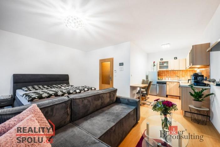 Prodej bytu 1+kk, Brno - Líšeň, Holzova, 87 m2