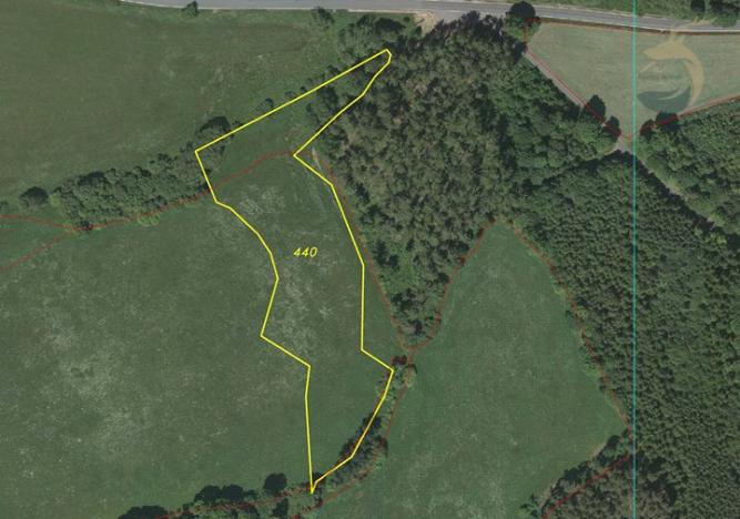 Prodej louky, Hartmanice, 11837 m2