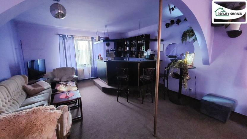 Prodej rodinného domu, Františkovy Lázně, Žírovická, 1130 m2