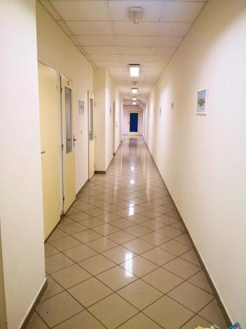 Pronájem kanceláře, Kozomín, 195 m2