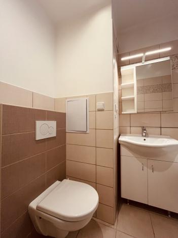 Pronájem bytu 1+1, Ostrava - Moravská Ostrava, Garážní, 46 m2