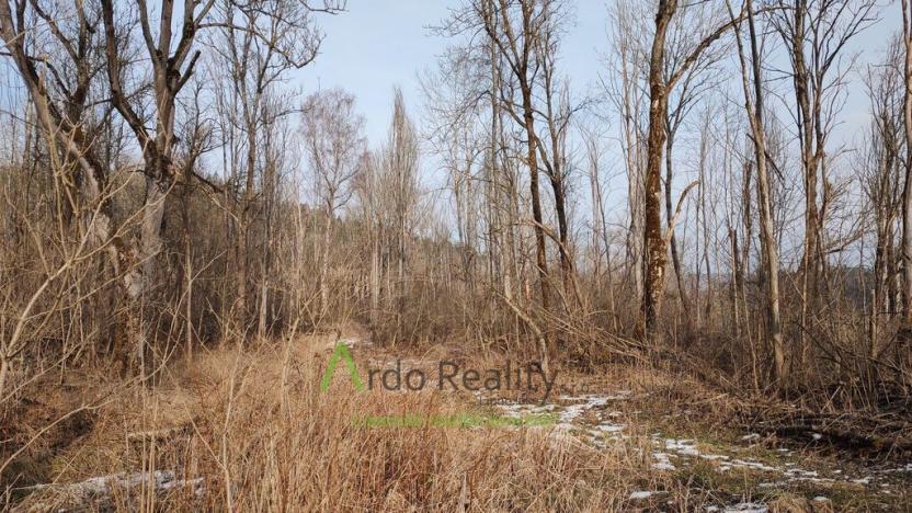 Prodej pozemku pro bydlení, Světlík, 11902 m2