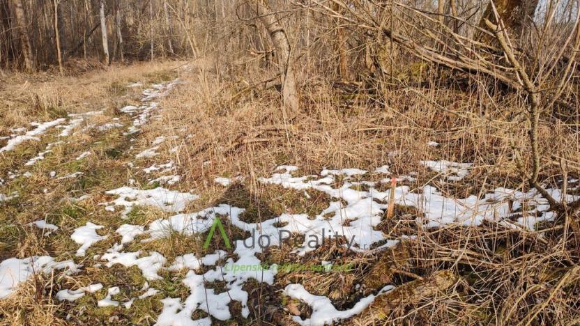 Prodej pozemku pro bydlení, Světlík, 11902 m2