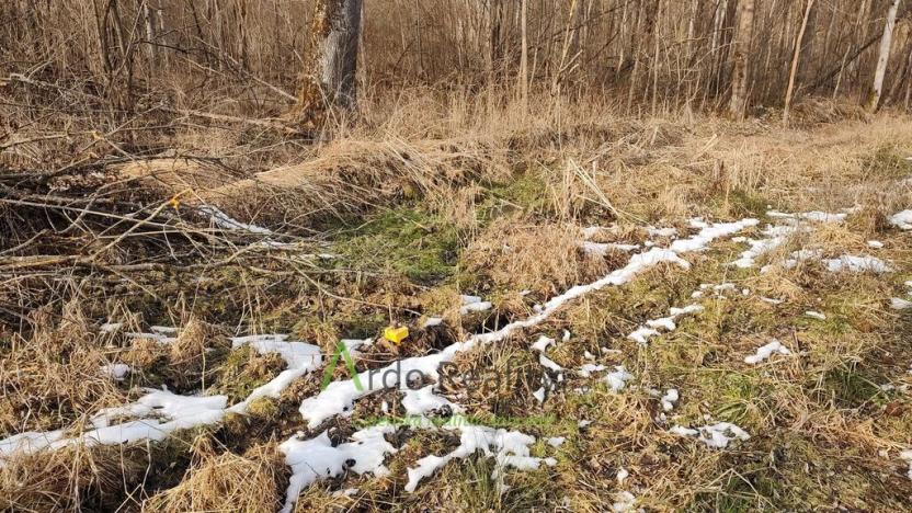 Prodej pozemku pro bydlení, Světlík, 11902 m2