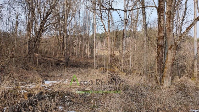 Prodej pozemku pro bydlení, Světlík, 11902 m2