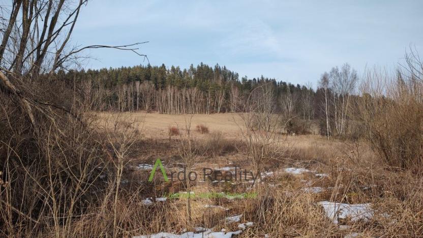 Prodej pozemku pro bydlení, Světlík, 11902 m2