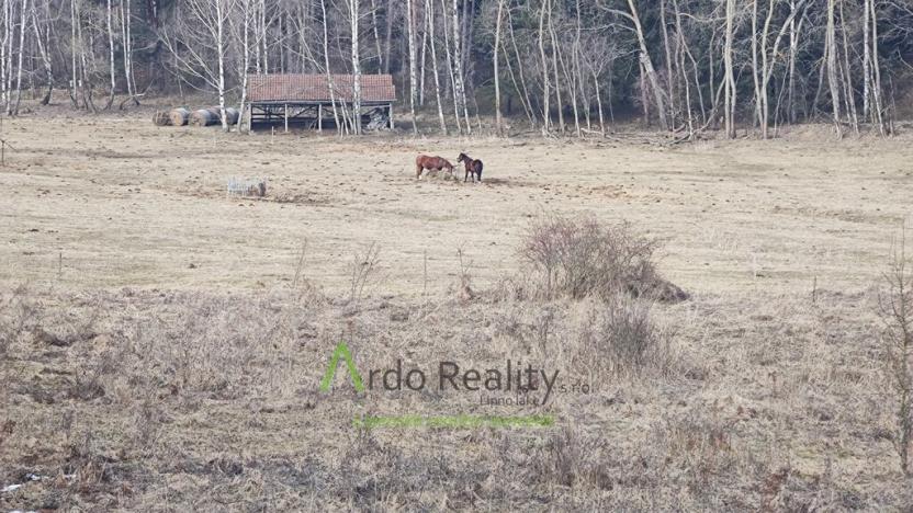 Prodej pozemku pro bydlení, Světlík, 11902 m2