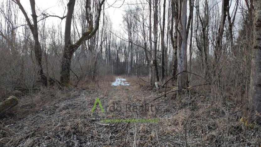 Prodej pozemku pro bydlení, Světlík, 11902 m2