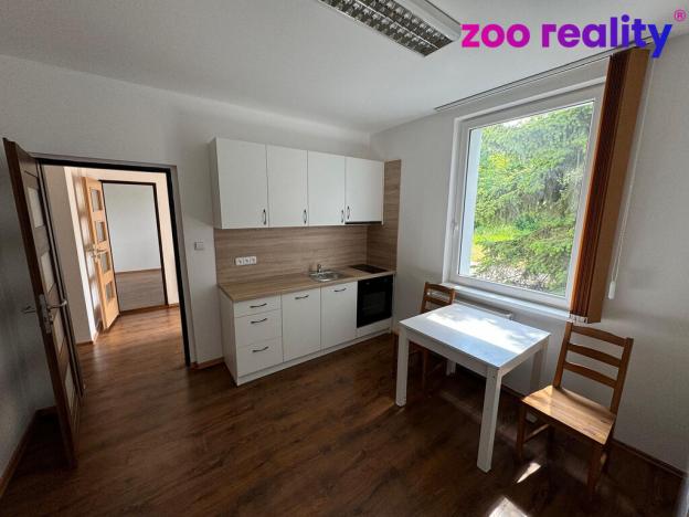 Pronájem ubytování, Louny, Postoloprtská, 269 m2