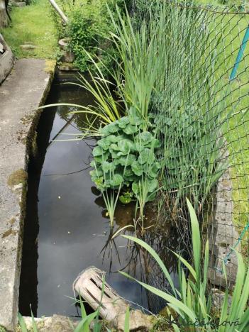 Prodej rodinného domu, Deutschneudorf, Německo, Oberlochmühle, 608 m2