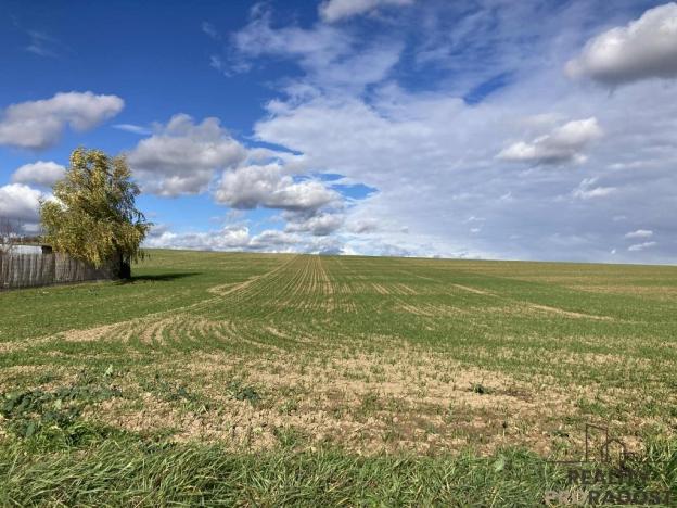 Prodej pozemku pro bydlení, Plenkovice, 800 m2