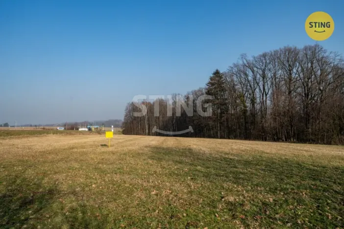 Prodej pozemku pro bydlení, Vojkovice, 8566 m2