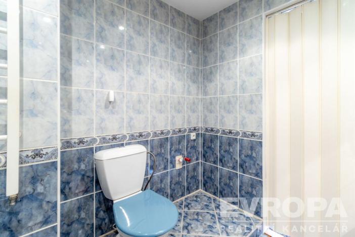 Prodej rodinného domu, Ústí nad Labem - Hostovice, Hostovická, 250 m2