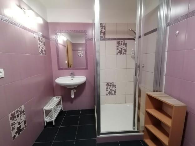 Pronájem bytu 1+kk, Zábřeh, U Horního rybníka, 30 m2