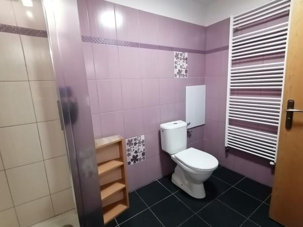 Pronájem bytu 1+kk, Zábřeh, U Horního rybníka, 30 m2