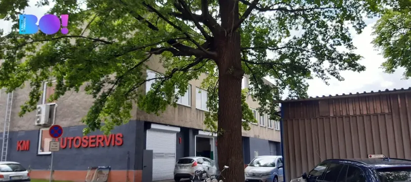 Pronájem kanceláře, Ostrava, 1. máje, 129 m2