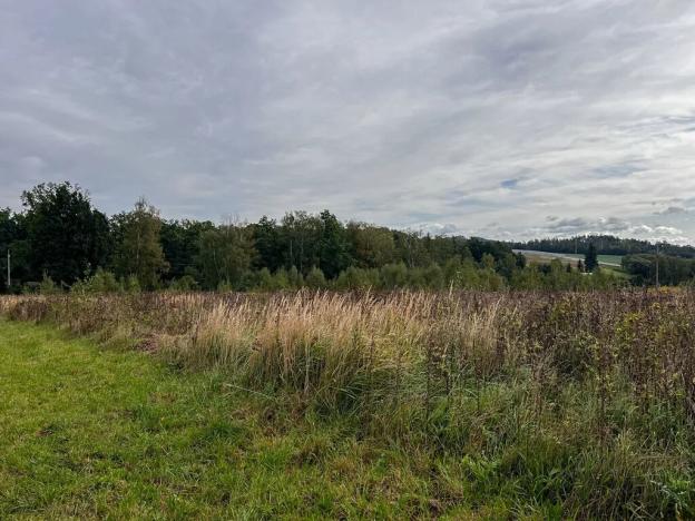 Prodej pozemku pro bydlení, Havlíčkův Brod, 14097 m2