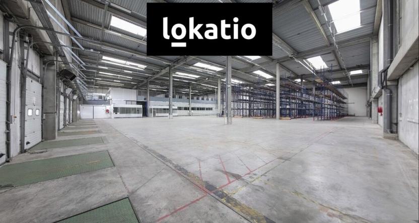 Pronájem skladu, Plzeň, U Nové Hospody, 16000 m2