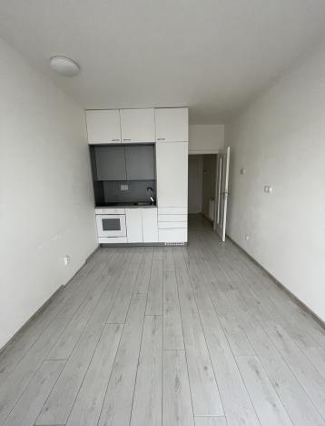 Pronájem bytu 1+kk, České Budějovice - České Budějovice 3, Jírovcova, 22 m2