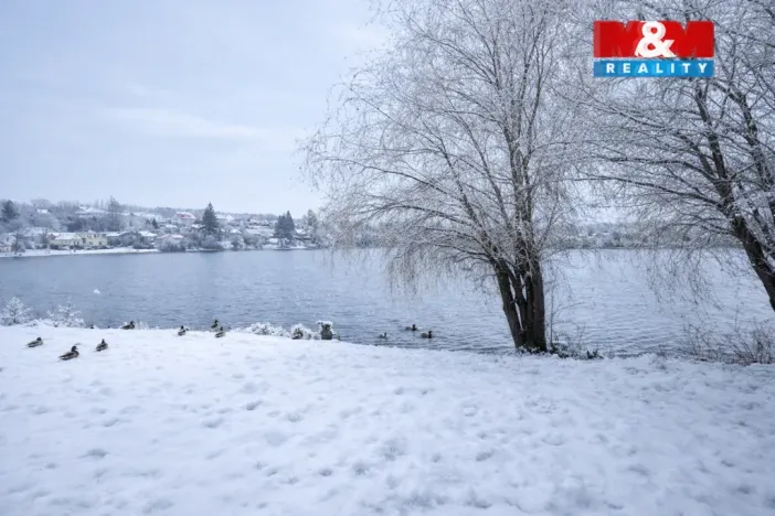 Prodej rybníku, Svojšice, 70738 m2