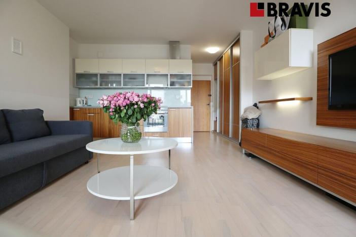 Pronájem bytu 1+kk, Brno - Staré Brno, Leitnerova, 43 m2