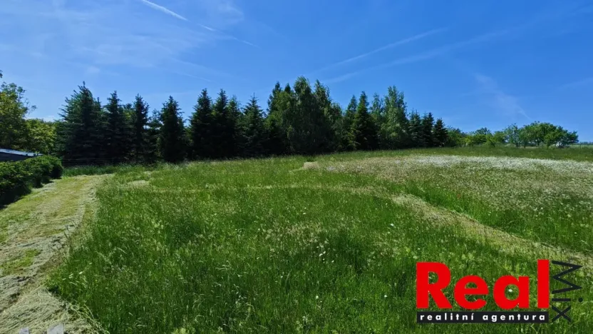 Prodej pozemku pro bydlení, Ježkovice, 3053 m2