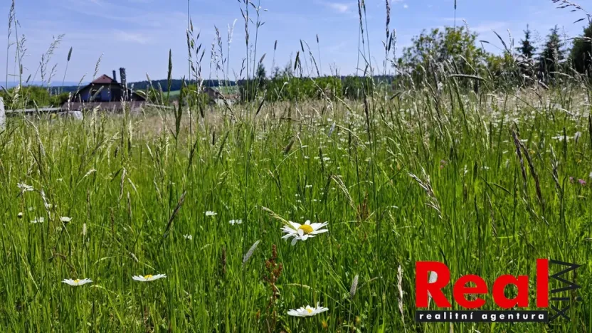Prodej pozemku pro bydlení, Ježkovice, 3053 m2