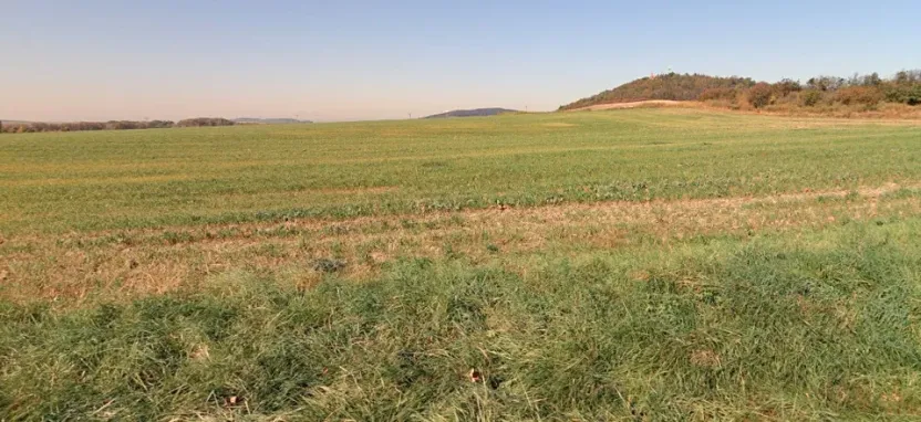 Prodej pole, Dobroměřice, 28792 m2