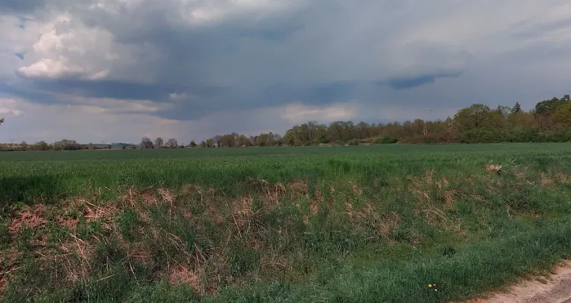 Prodej pole, Snědovice, 44321 m2